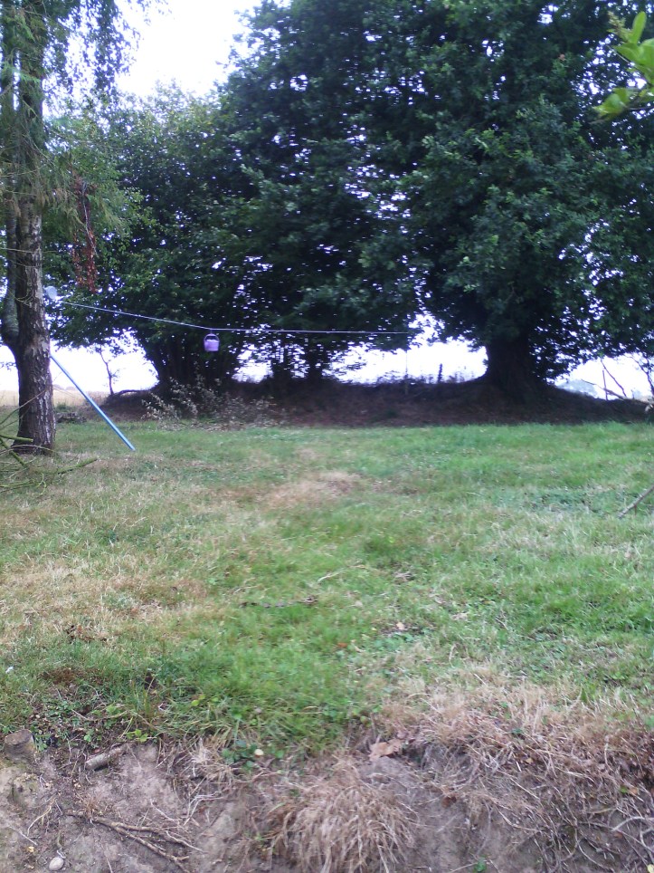 14393631688881564303271