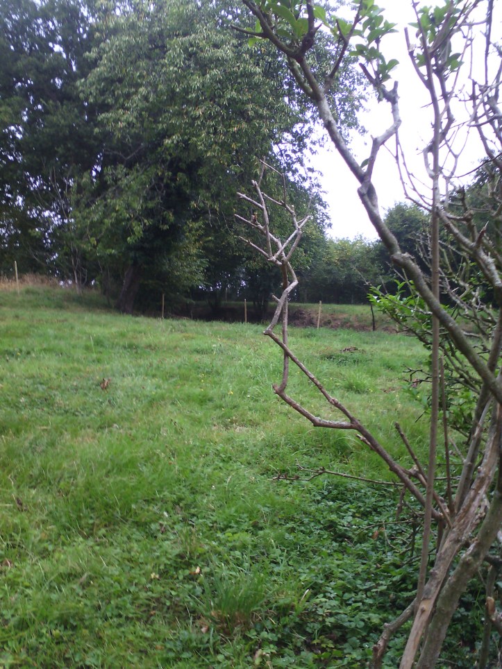 14393631978411684027626