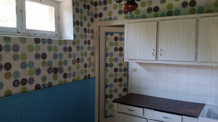 The old funky kitchen 2