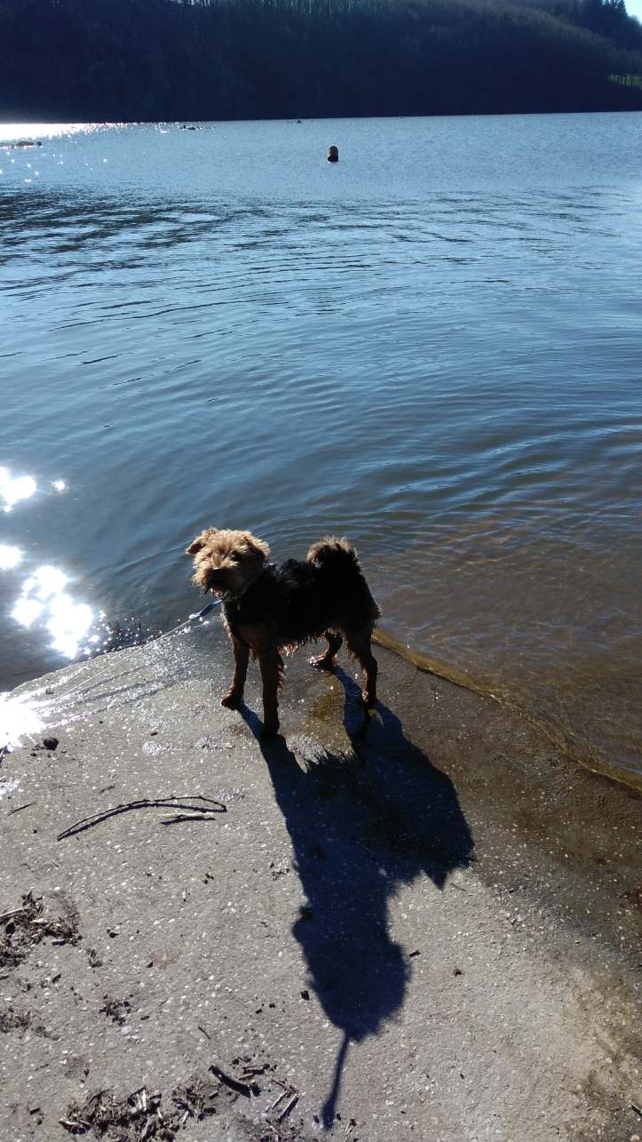 harely in the river winters day feb