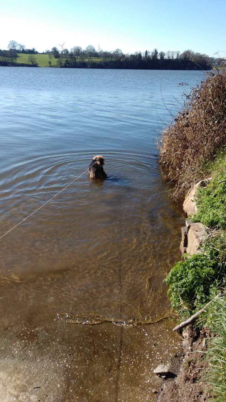 harely in the river winters day in feb