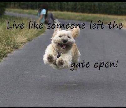 FD49ADF1-DE03-4F38-97C8-7D8D4C92A332