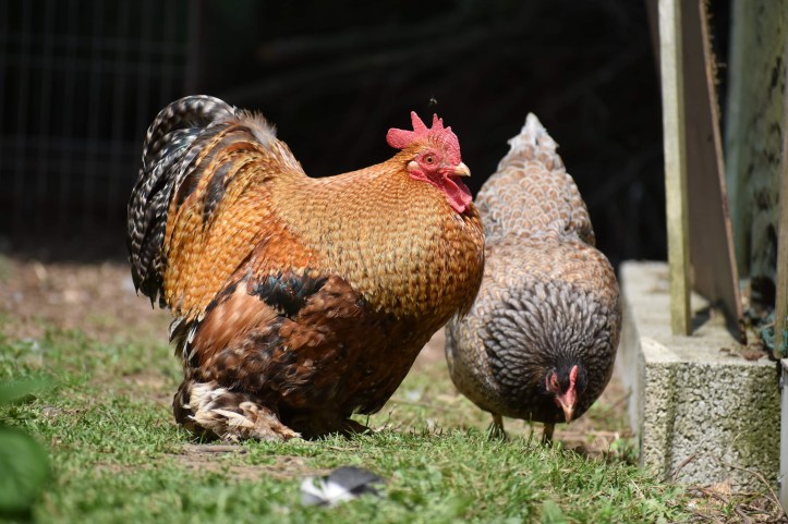 9BD163A6-82B1-4919-9662-8AD947A08A64